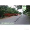ขายที่ดิน ถนนร่มเกล้า ซอยร่มเกล้า 72 แยก 3 ตำบลสะพานสูง อำเภอบึงกุ่ม จังหวัดกรุงเทพมหานคร